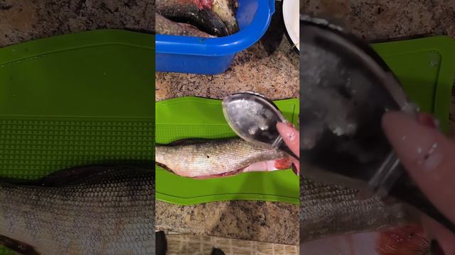Разделываем рыбу ПРОСТО! Кухонные ножницы, специальная доска, скребок и мыло для кухни👍