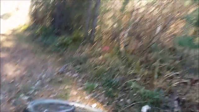 Замечательная находка в лесу (не про коп)._x264