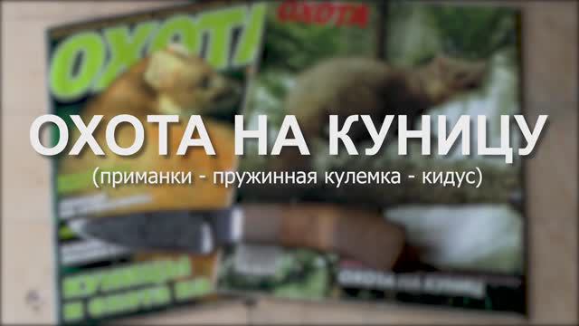 Охота на куницу. Приманки. Кулемка. Кидус.