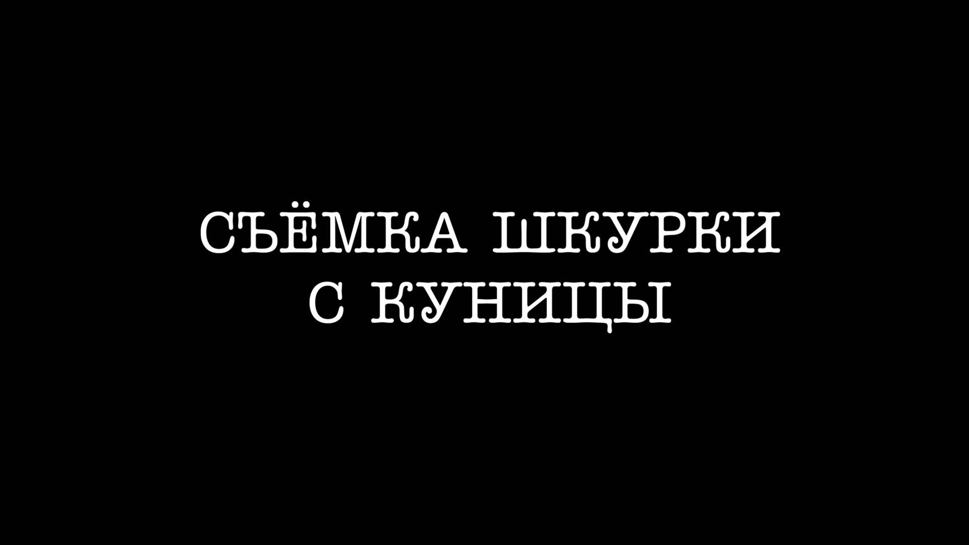 Съемка шкурки с куницы