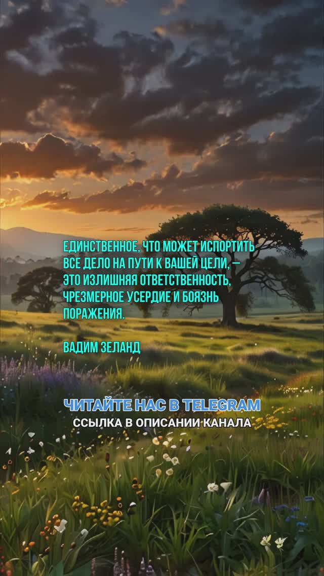 Единственное, что может испортить все дело на пути к вашей цели Вадим Зеланд