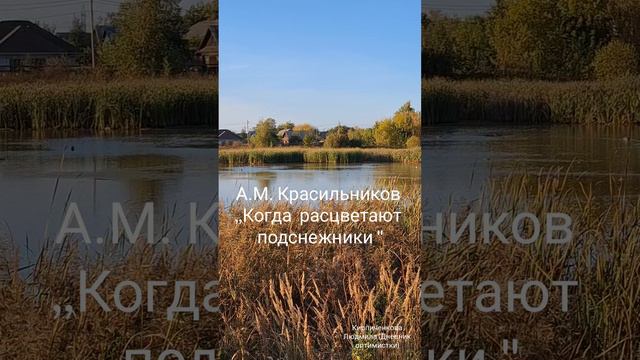 ,,Когда расцветают подснежники" А.М. Красильников