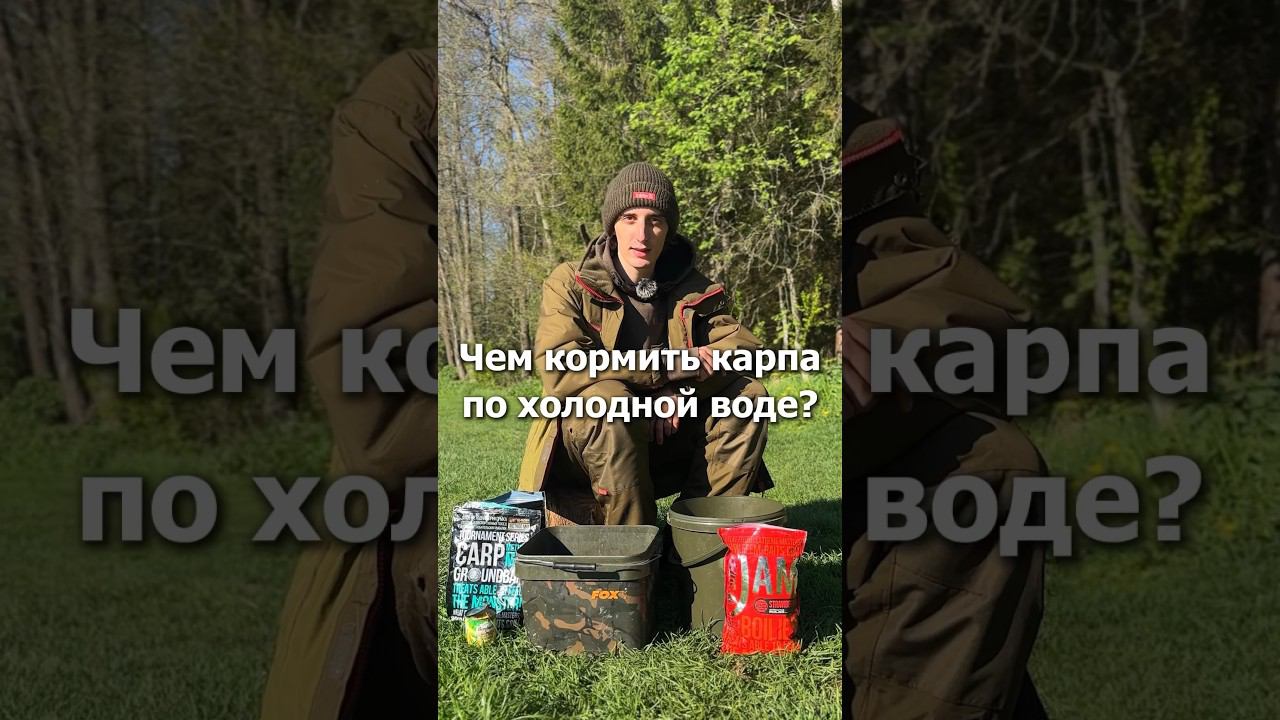 Чем кормить карпа по холодной воде? #carpfishing #flatfeeder #methodfeeder #carp #ffem