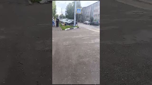 26.06.2024. Встретили маму))