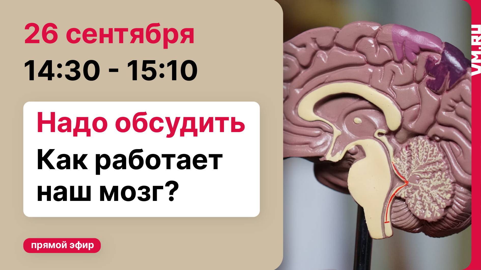 Как работает наш мозг // Надо обсудить