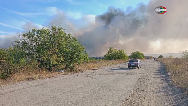 Пожар на полигоне ТБО