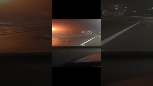 улитка 100км в час