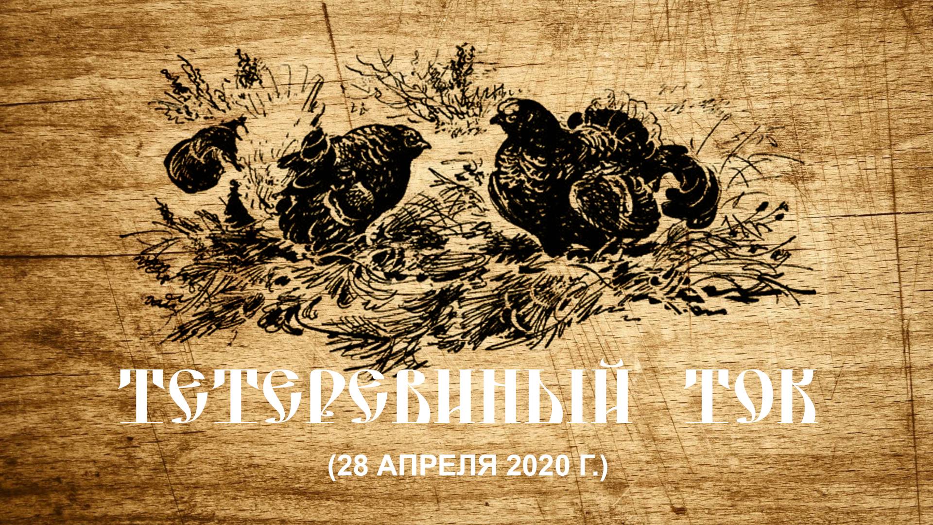 Тетеревиный ток 28 апреля