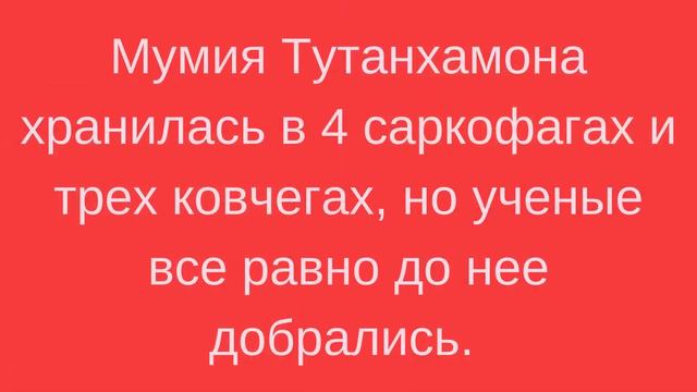 10 ИНТЕРЕСНЫХ ФАКТОВ О ДРЕВНЕМ ЕГИПТЕ