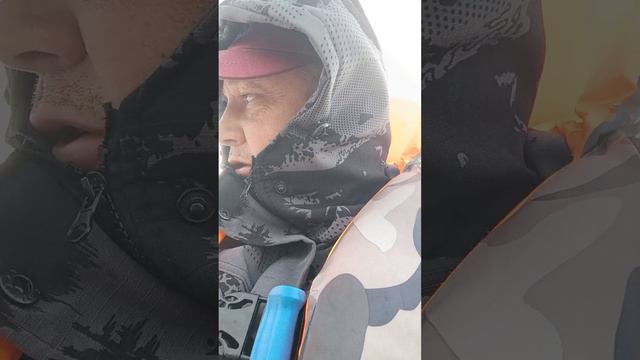 Кречетово щука сентябрь