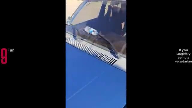 Попробуй не засмеяться, смешные видео часть 17