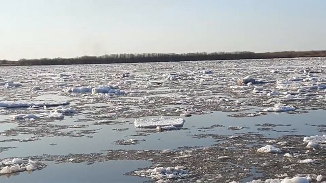 ЛЕДОХОД НА РЕКЕ АМУР .ХАБАРОВСК 2020 ГОД.