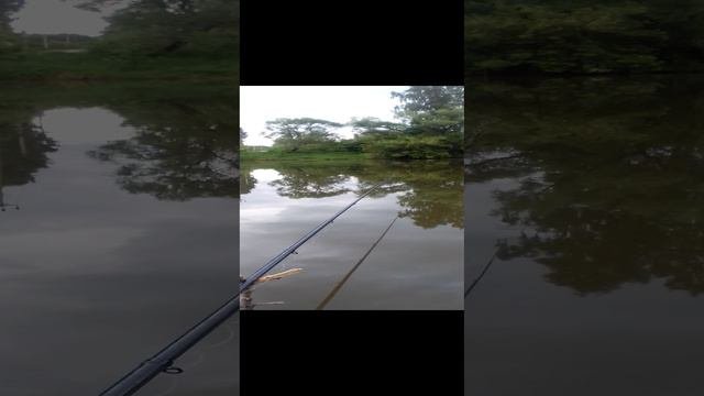 Утро 5:30