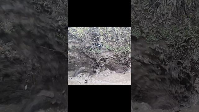 Ловушка из грязи. Замедленная съёмка. Много брызг.