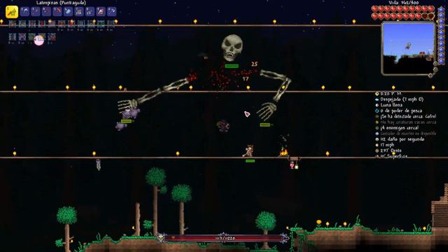 TERRARIA 1.4.4.9 CLASE INVOCADOR VS ABEJA REINA Y ESQUELETRON