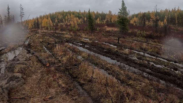 Проверка зимовий перед пушной охотой. часть 3