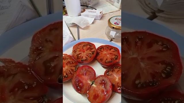 Томаты КРАСНЕЕ КРАСНОГО!!👍👍👍