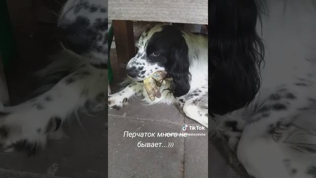 Стащил перчатки...)))