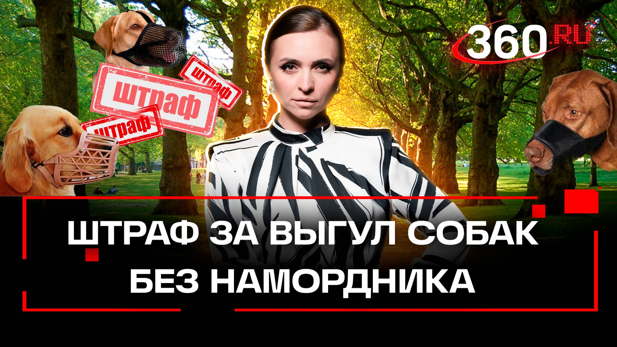 «Шерсти мало, визга много» - эксперт про недоработки в законе о выгуле собак | Екатерина Малашенко