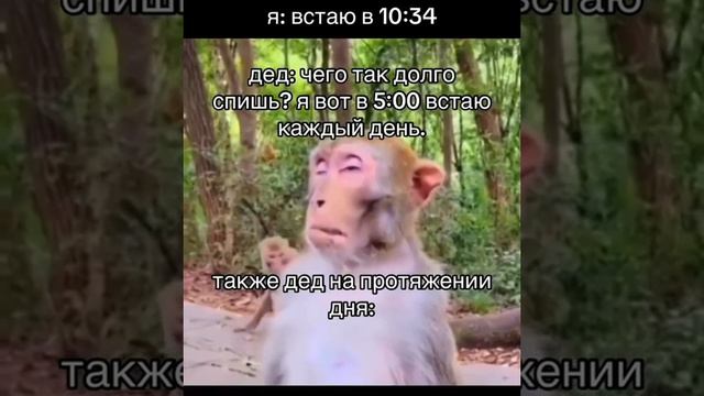 Прикол про деда