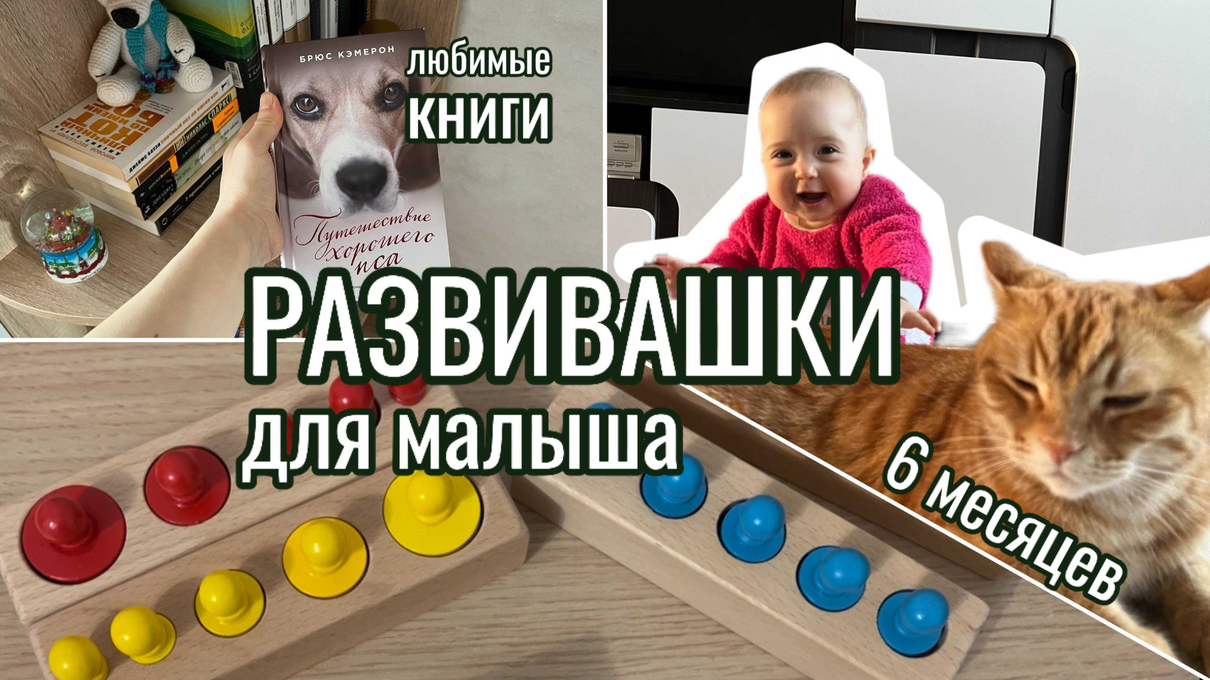 РАЗВИВАЮЩИЕ ИГРУШКИ в 6 месяцев 🧩 план прикорма 🍗 мои любимые книги 📚