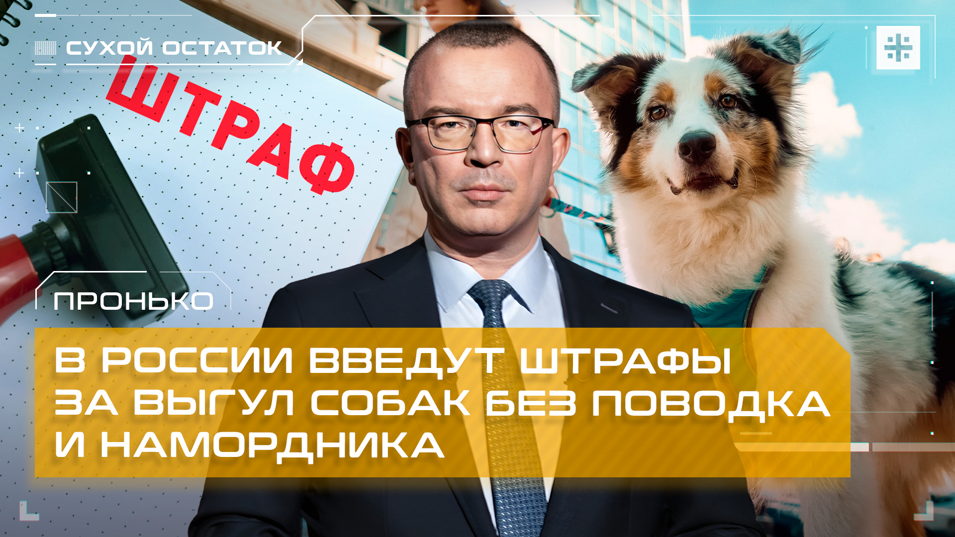 Пронько: В России введут штрафы за выгул собак без поводка и намордника