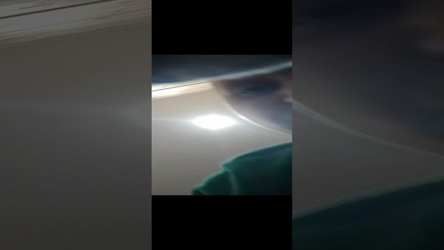 спокиноки