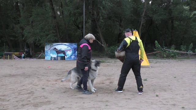 ЗКС_Моншер Вирсаль Джейн Эйр