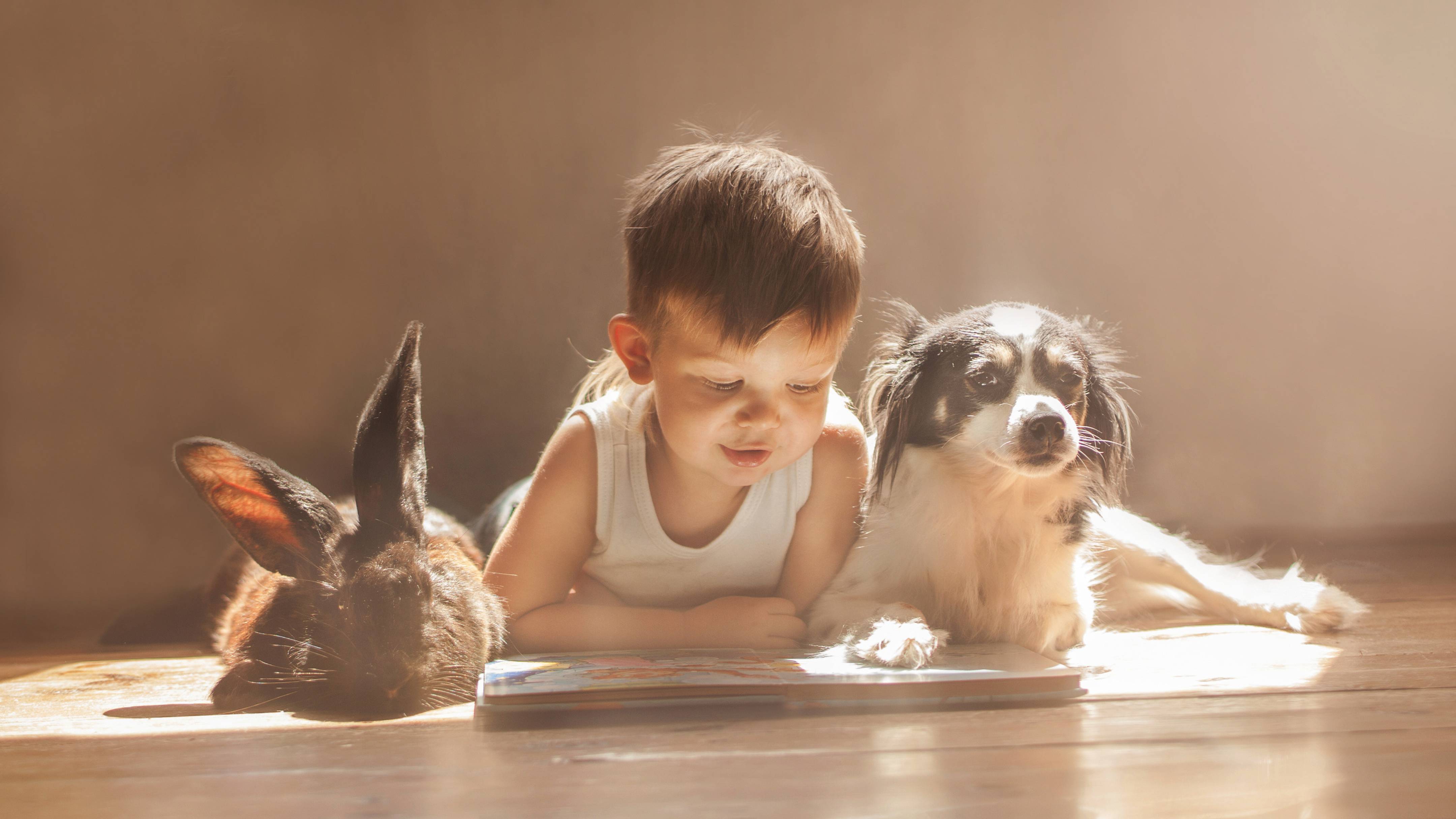 СМЕШНЫЕ ДОМАШНИЕ ПИТОМЦЫ С ДЕТЬМИ / A baby with pets, best friends / Малыши и домашние друзья #23