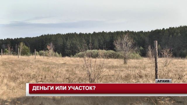 ДЕНЬГИ ИЛИ УЧАСТОК