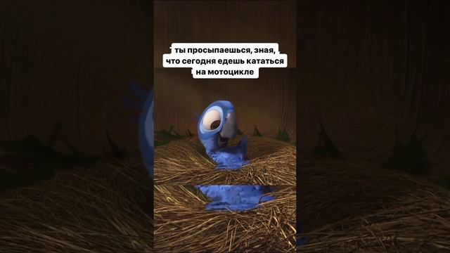 Когда проснулся и знаешь что поедешь кататься на мото