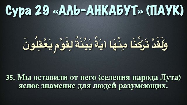 Сура 29 аль-Анкабут (арабские и русские титры) - Мухаммад Люхайдан