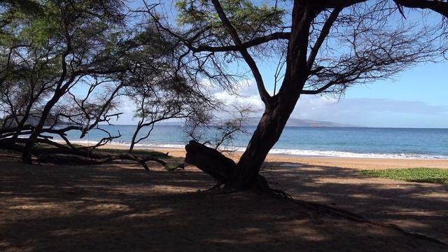 Maui, Hawaii, USA in 4K Ultra HD