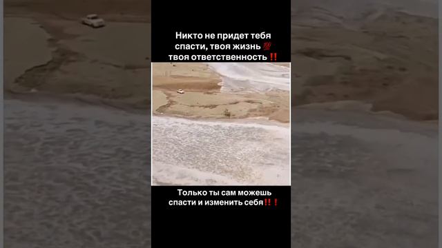 Надейся только на себя