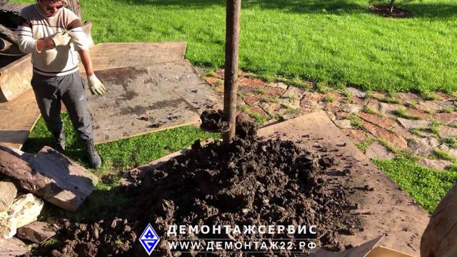 Услуги ямобура на базе гусеничного мини-экскаватора город Барнаул.