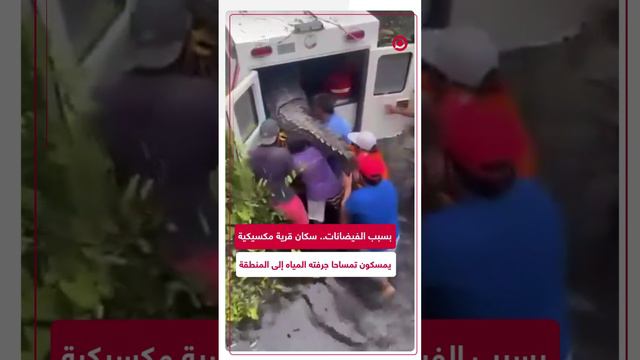 تمساح يسبح إلى قرية بسبب الأمطار الغزيرة في المكسيك