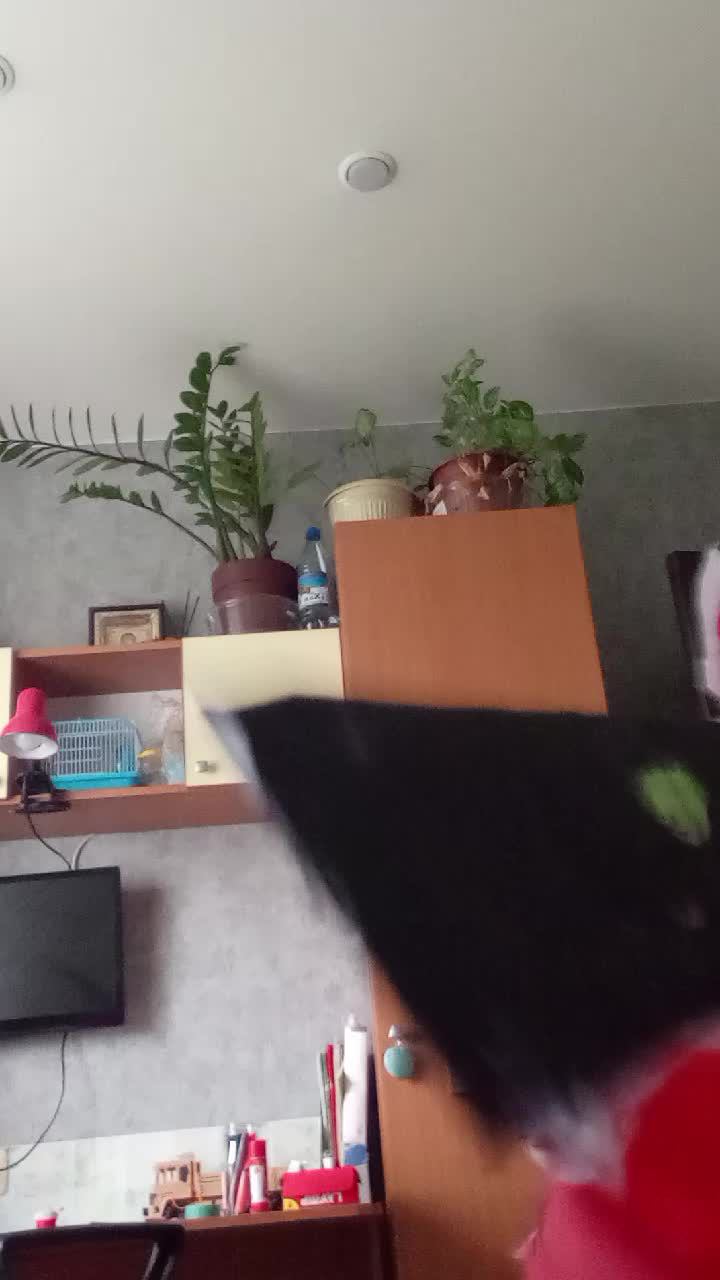 разговор