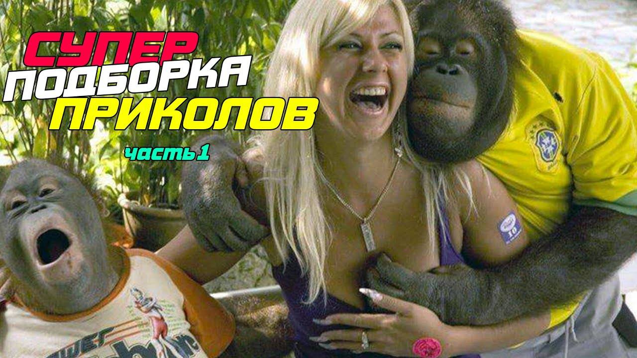 Подборки смешных видео №21 #смешно #юмор #смешныевидео #смех #shorts #yappy