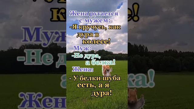 Кручусь как дура в колесе #юмор #афоризмы #цитаты #анекдоты #шутки #приколы #анонсы