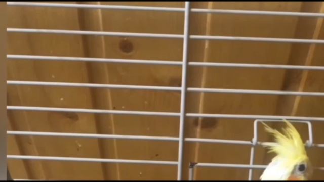 всё про всё