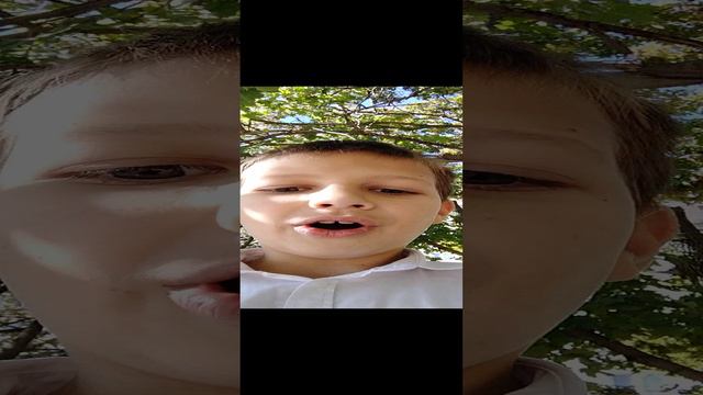 сборник смешных историй про школу √1