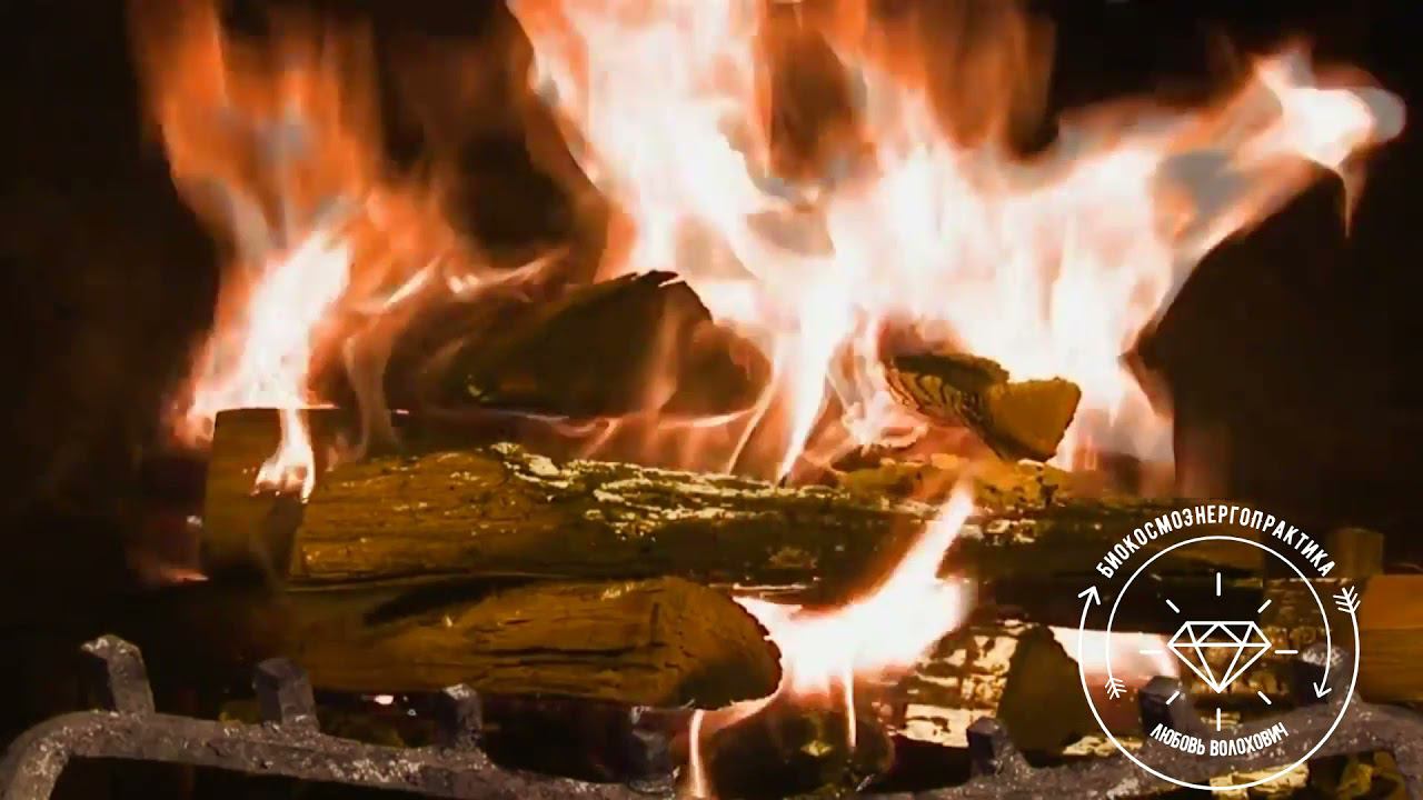 Техника ПЯТЫЙ ЭЛЕМЕНТ
