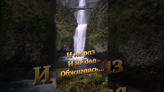 Пожалуйста, поддержите мой труд - поставьте лайк и подпишитесь на мой канал с открытками! Я буду ...