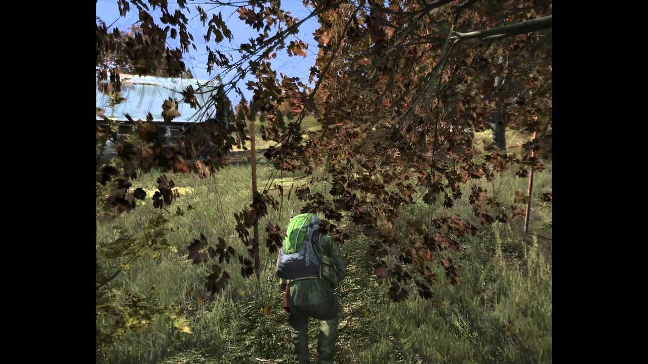 DayZ  Маленькая вылазка в Пустошки