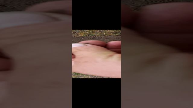 крупяк находка супер, 1/4копейки Александра 2 стоит как металоискатель.