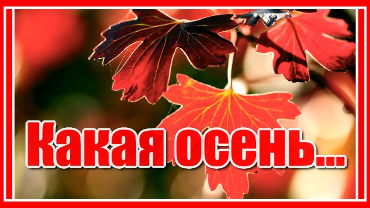 Какая осень за окном, какая осень, какой чудесный золотой твой листопад...