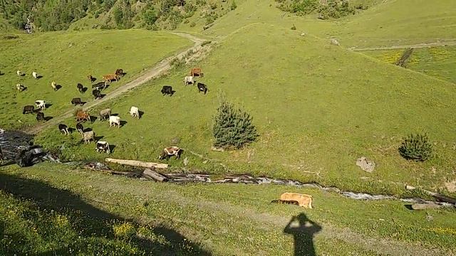 Красота природы сел Китури Цунтинский район.