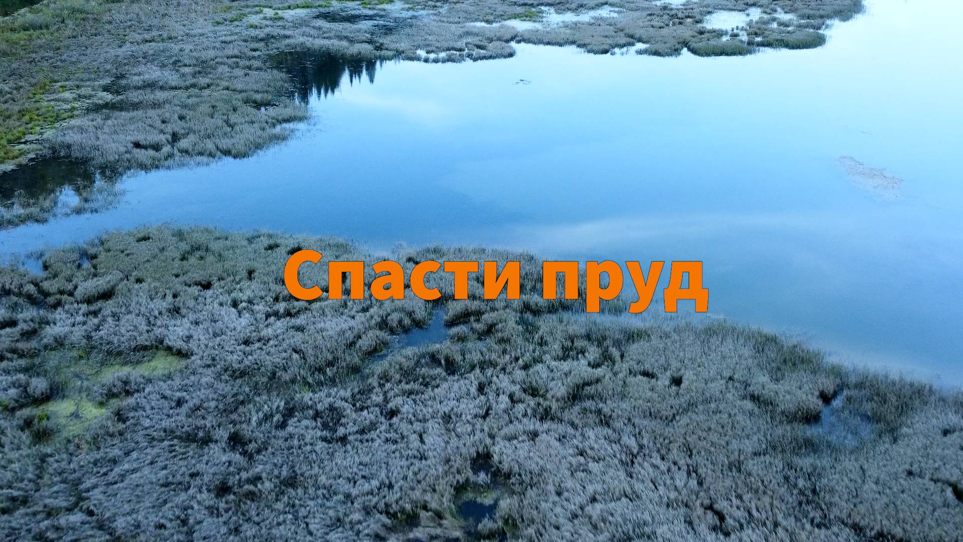 Спасти пруд