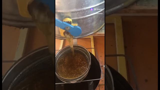 откачиваем и фильтруем мёд 🍯