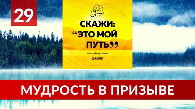 29. Мудрость в призыве к Аллаху _ Ринат Абу Мухаммад